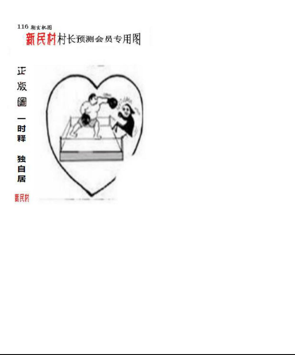 正版新民村村长预测图