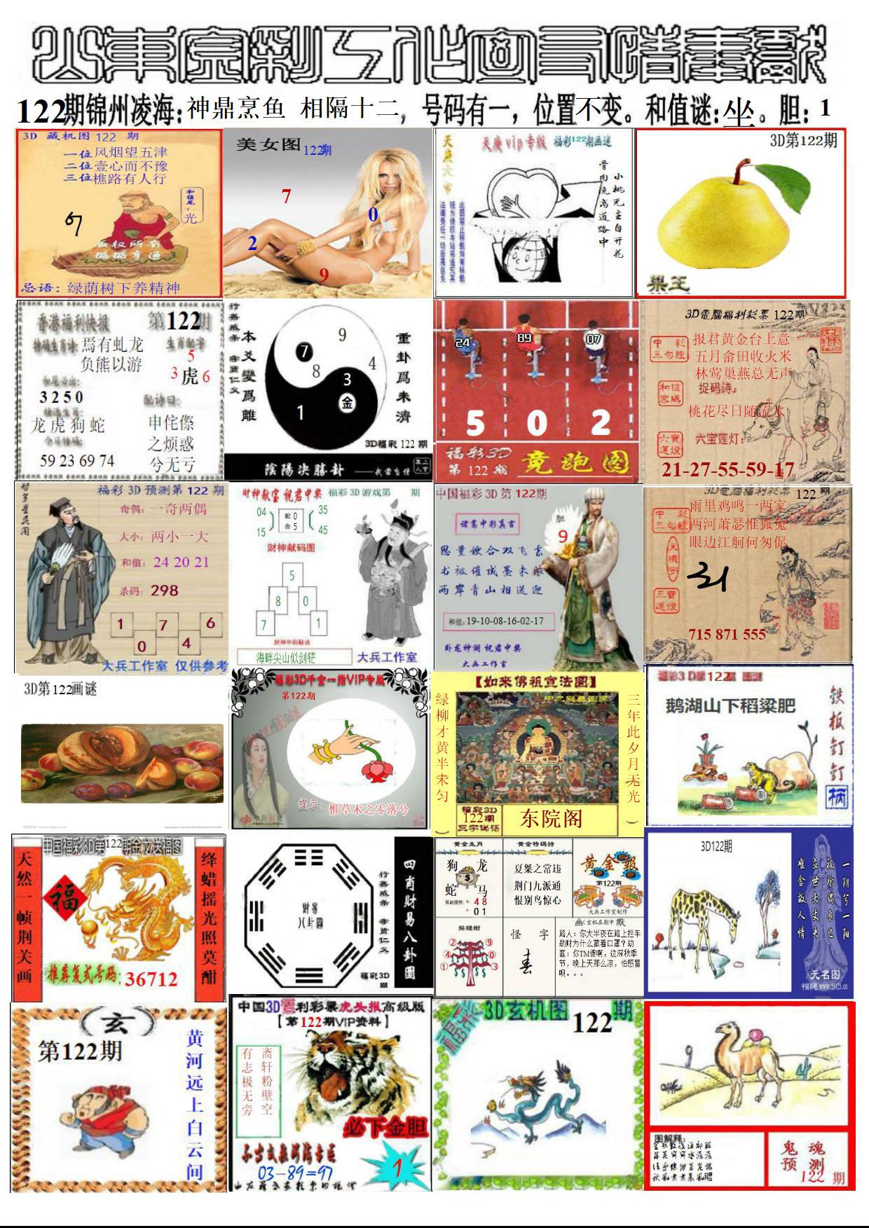 山东金彩