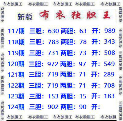 布衣独胆王