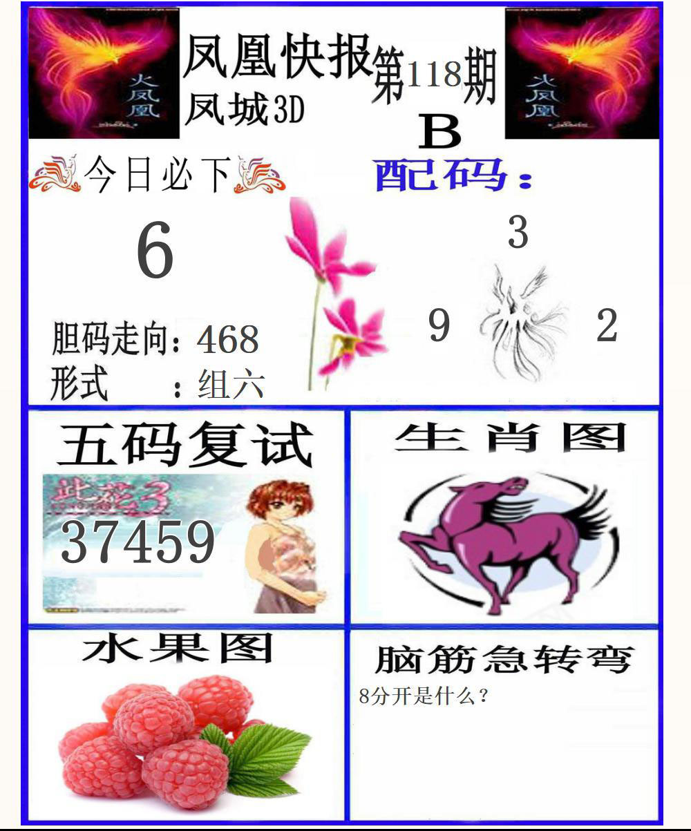 3D凤凰快报B版