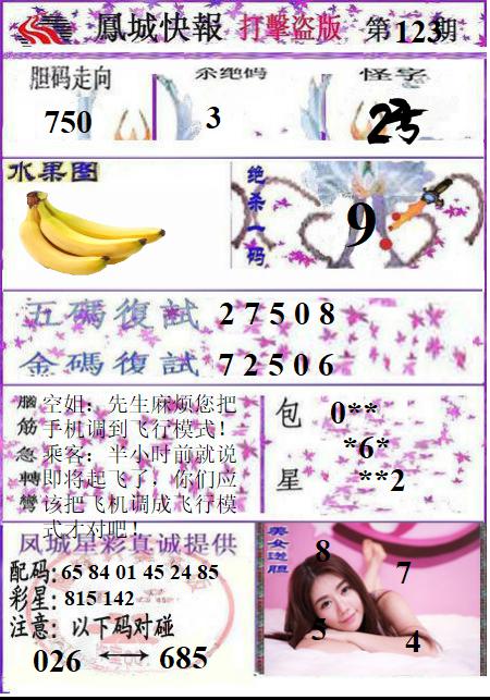 凤城打黑B版